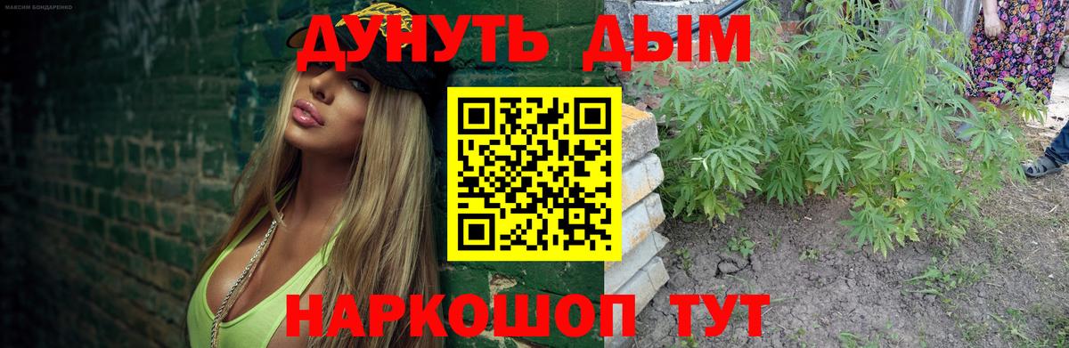 МАРИХУАНА ГИДРОПОН  Вход с VPN  Бошки марихуана Bruce Banner  Севастополь  Марихуана семена  Каннабис сатива 